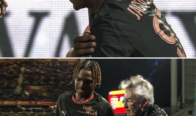 开云体育官方网站-独角兽新星雅凯手术治肩，利物浦补“墙”路重归原点