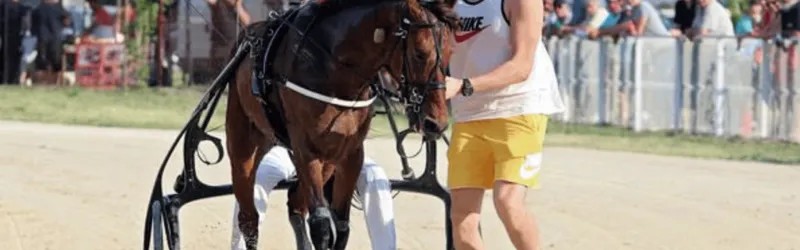 开云体育官方网站-Shames：约基奇将在赛季结束后从NBA退役，转战马术赛场备战28年奥运会